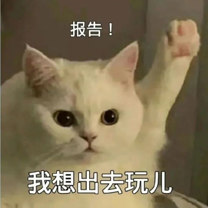 圖片1(1).png
