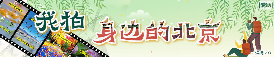 北京限行尾號輪換_元旦北京文化活動_限行