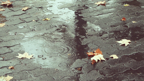 雨霧天氣安全駕駛指南_雨天行車安全提示_出行提示
