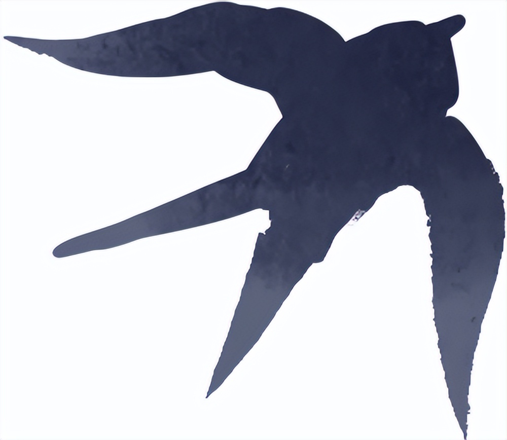 出行提示_秋季雨霧行車安全_雨霧天氣駕駛注意事項