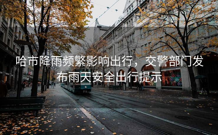 哈市降雨頻繁影響出行，交警部門發(fā)布雨天安全出行提示