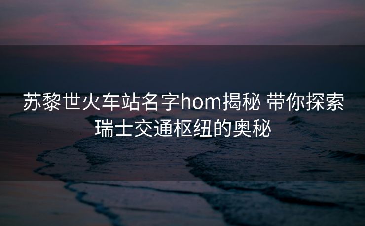 蘇黎世火車站名字hom揭秘 帶你探索瑞士交通樞紐的奧秘