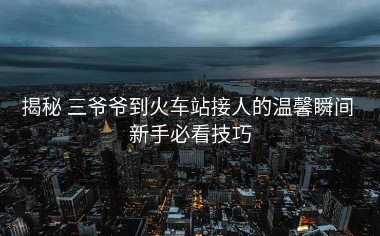 揭秘 三爺爺?shù)交疖?chē)站接人的溫馨瞬間 新手必看技巧