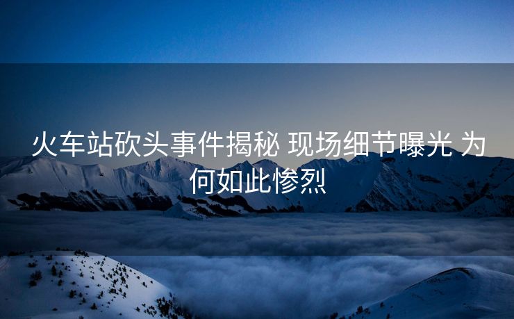 火車(chē)站砍頭事件揭秘 現(xiàn)場(chǎng)細(xì)節(jié)曝光 為何如此慘烈