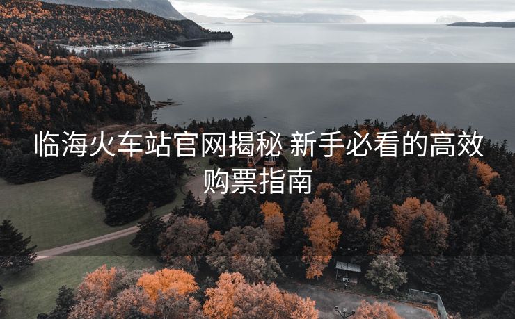 臨?；疖囌竟倬W(wǎng)揭秘 新手必看的高效購票指南
