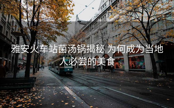 雅安火車站菌湯鍋揭秘 為何成為當(dāng)?shù)厝吮貒L的美食